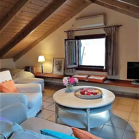 Apartment Cavos - Loft In Assos With Amazing View Asos